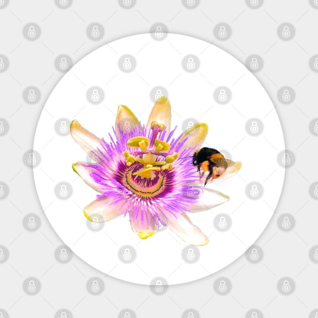 Bee themed gifts for women, men and kids. Blue crown Passion flower with bumble bee - save the bees Magnet by Artonmytee